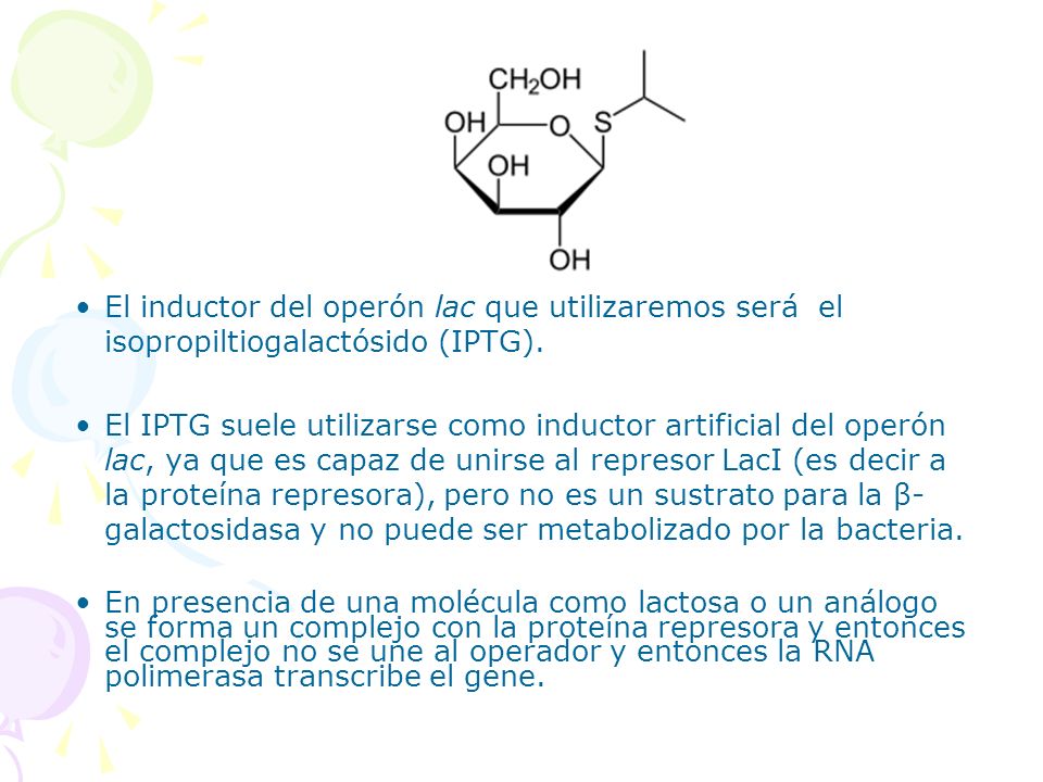 El inductor del operón lac que utilizaremos será el isopropiltiogalactósido (IPTG).