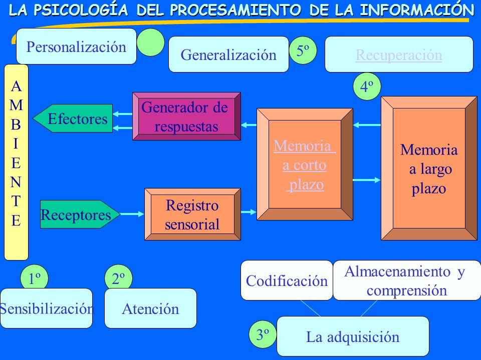 Personalización 5º Generalización 4º Recuperación A M B I E N T