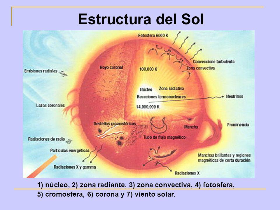 Estructura del Sol 1) núcleo, 2) zona radiante, 3) zona convectiva, 4) fotosfera, 5) cromosfera, 6) corona y 7) viento solar.