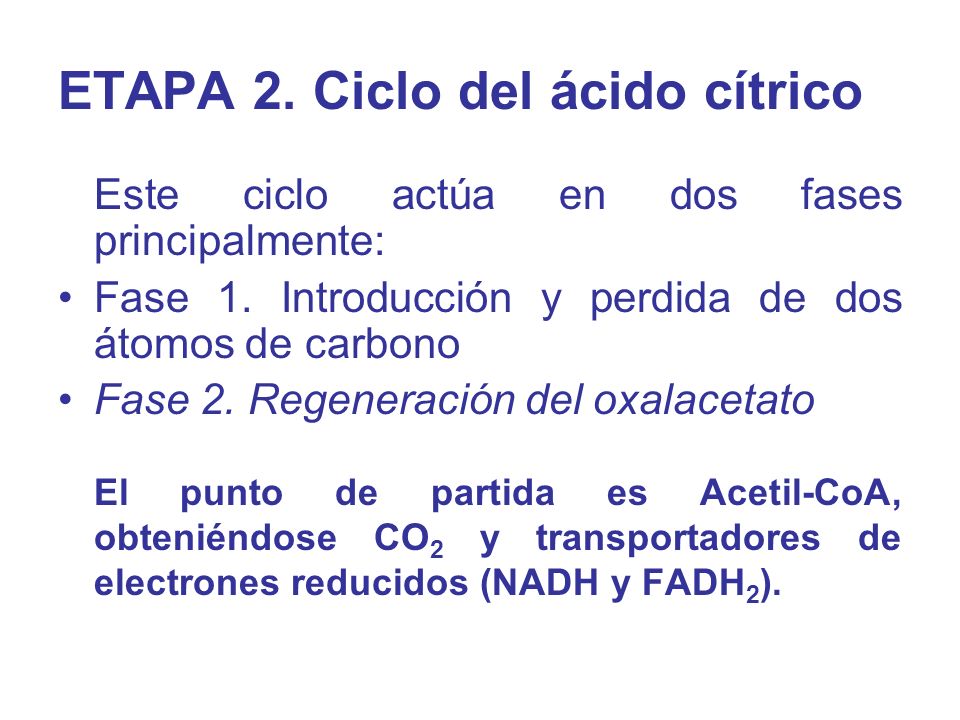 ETAPA 2. Ciclo del ácido cítrico
