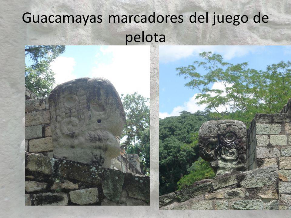 Guacamayas marcadores del juego de pelota