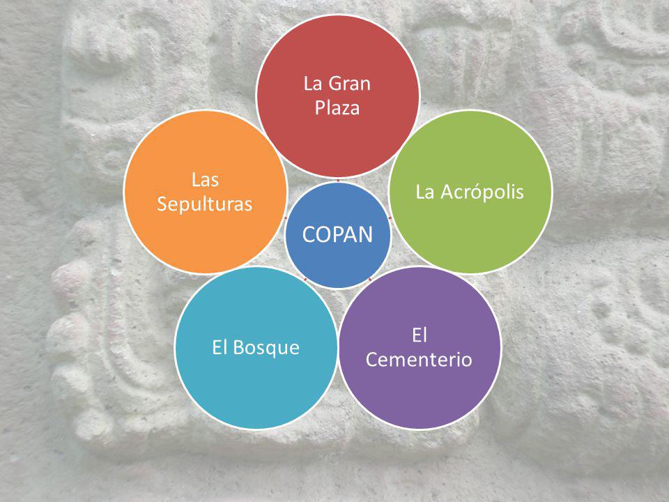 La Gran Plaza La Acrópolis El Cementerio El Bosque Las Sepulturas