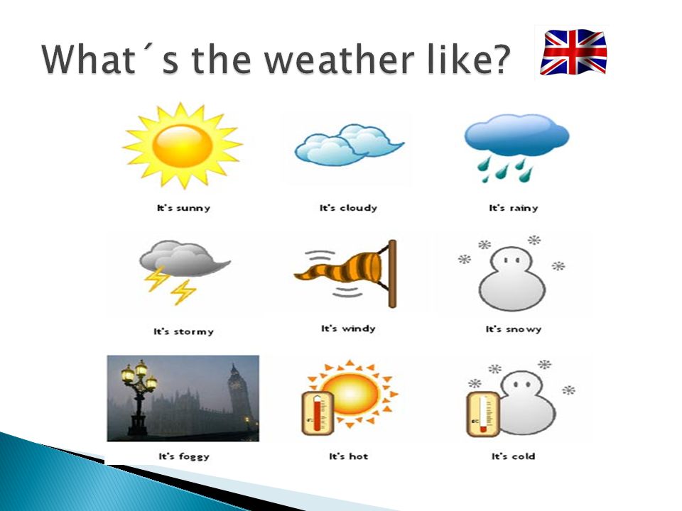 What´s the weather like
