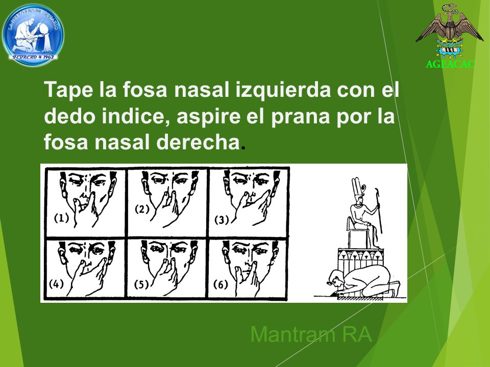 Tape la fosa nasal izquierda con el dedo indice, aspire el prana por la fosa nasal derecha.