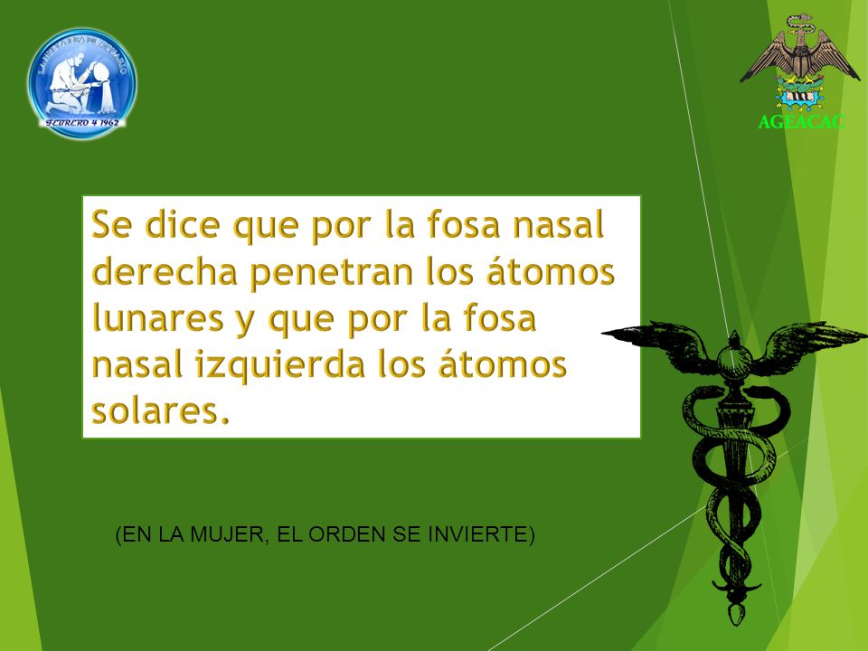 Se dice que por la fosa nasal derecha penetran los átomos lunares y que por la fosa nasal izquierda los átomos solares.