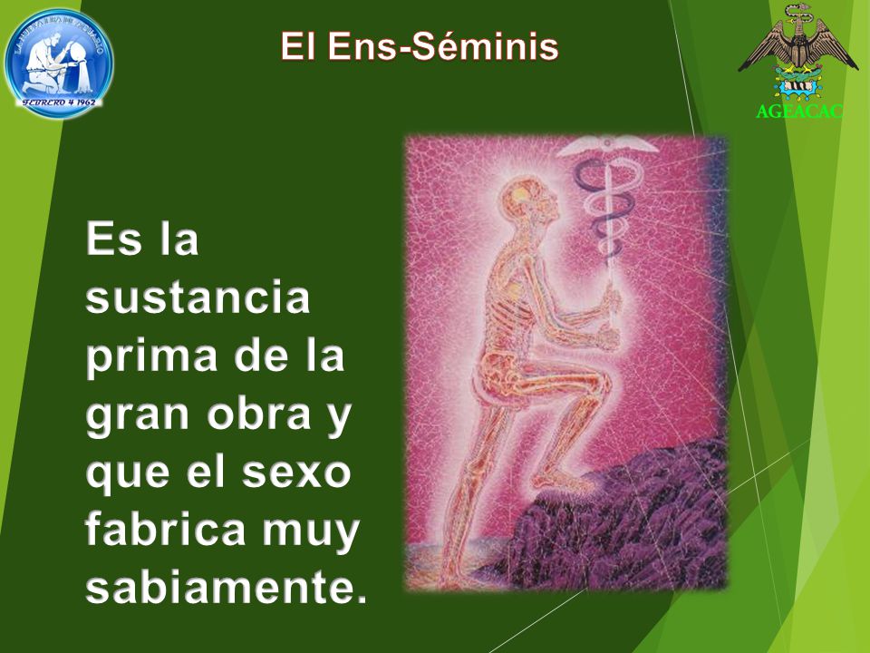 El Ens-Séminis Es la sustancia prima de la gran obra y que el sexo fabrica muy sabiamente.