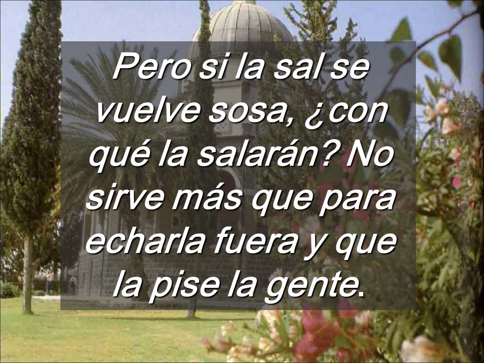 Pero si la sal se vuelve sosa, ¿con qué la salarán