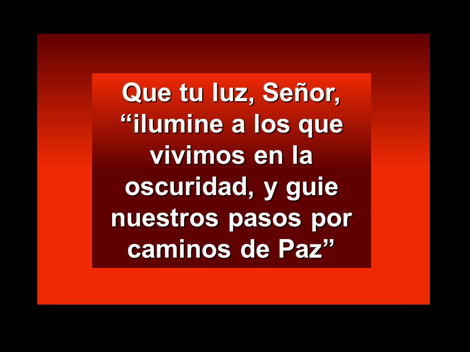 Que tu luz, Señor, ilumine a los que vivimos en la oscuridad, y guie nuestros pasos por caminos de Paz