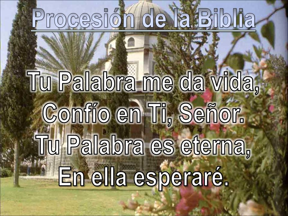 Procesión de la Biblia Tu Palabra me da vida, Confío en Ti, Señor.