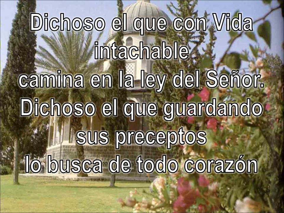 Dichoso el que con Vida intachable camina en la ley del Señor.
