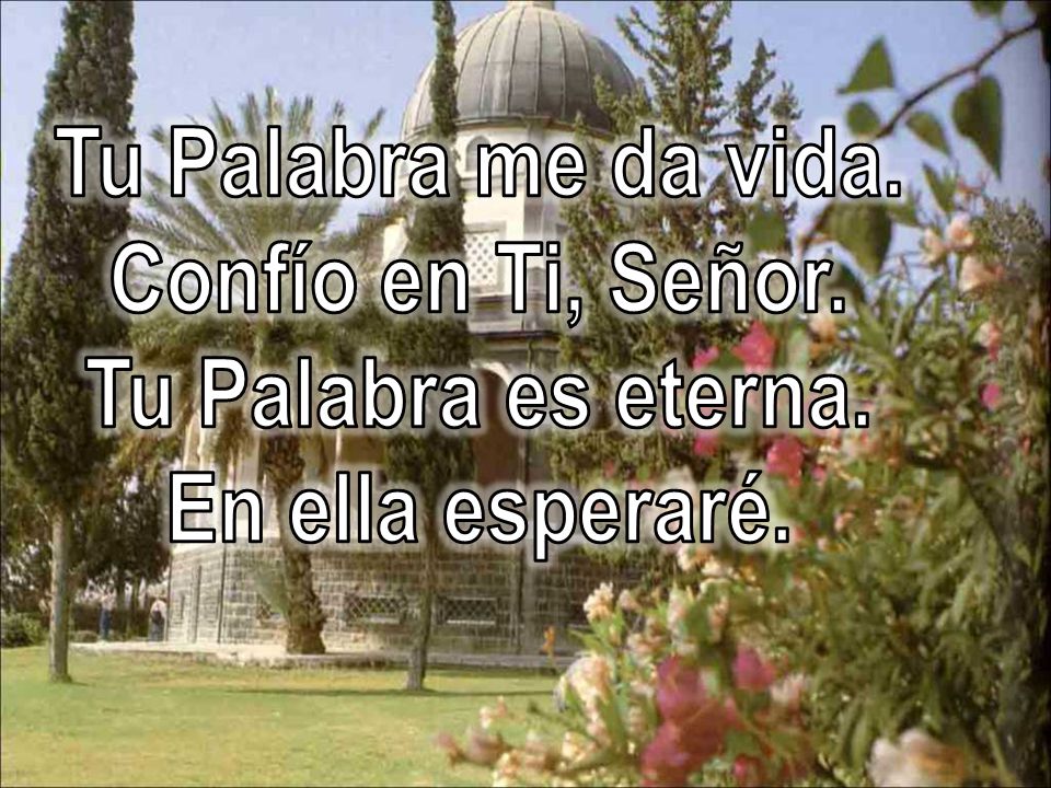 Tu Palabra me da vida. Confío en Ti, Señor. Tu Palabra es eterna. En ella esperaré.