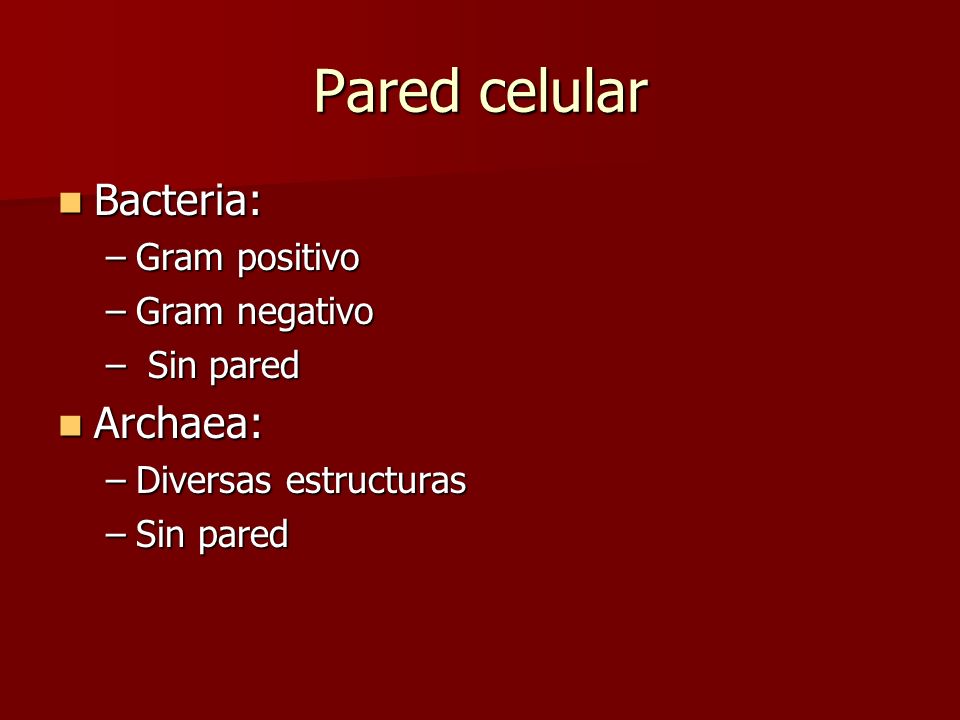 Pared celular Bacteria: Archaea: Gram positivo Gram negativo Sin pared