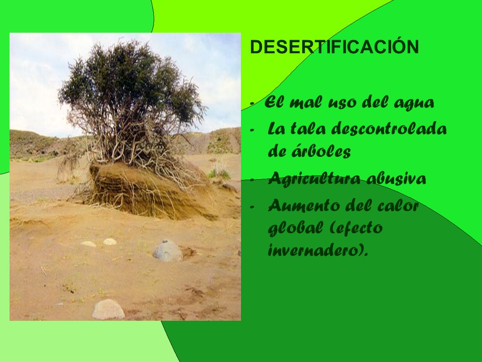 DESERTIFICACIÓN - El mal uso del agua. La tala descontrolada de árboles.