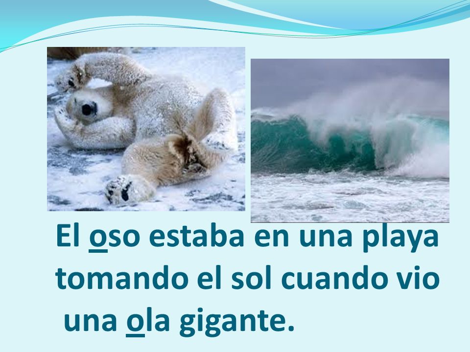 El oso estaba en una playa tomando el sol cuando vio una ola gigante.