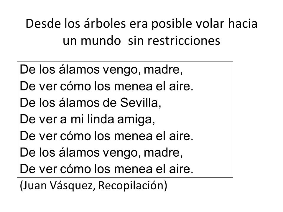 Desde los árboles era posible volar hacia un mundo sin restricciones