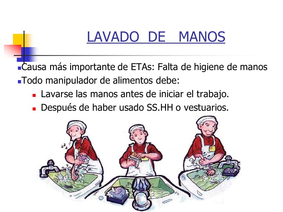 LAVADO DE MANOS Causa más importante de ETAs: Falta de higiene de manos. Todo manipulador de alimentos debe: