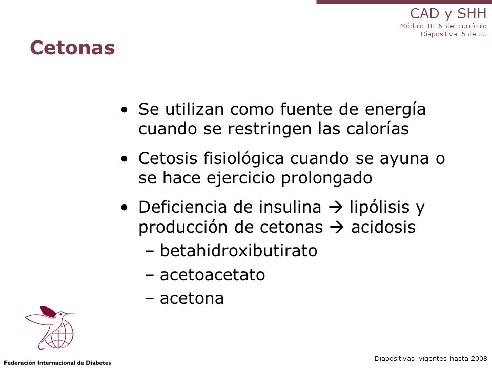 Cetonas Se utilizan como fuente de energía cuando se restringen las calorías. Cetosis fisiológica cuando se ayuna o se hace ejercicio prolongado.