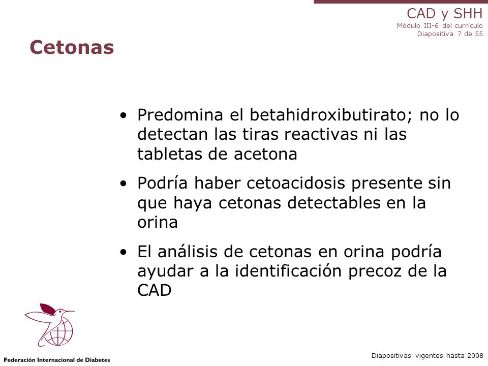 Cetonas Predomina el betahidroxibutirato; no lo detectan las tiras reactivas ni las tabletas de acetona.