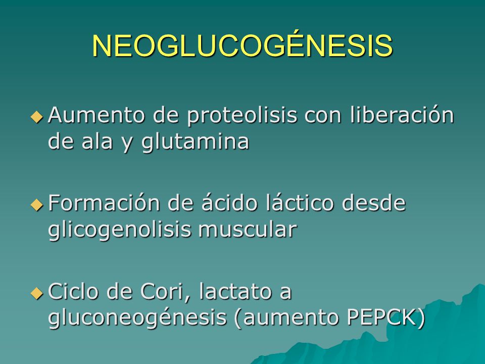 NEOGLUCOGÉNESIS Aumento de proteolisis con liberación de ala y glutamina. Formación de ácido láctico desde glicogenolisis muscular.