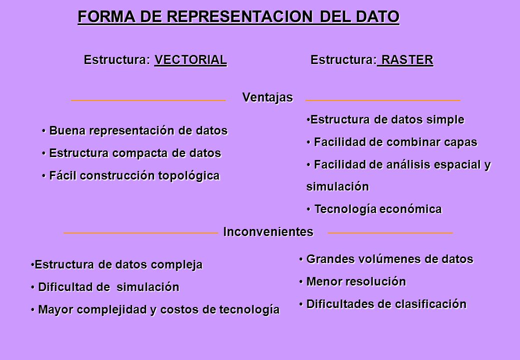 FORMA DE REPRESENTACION DEL DATO