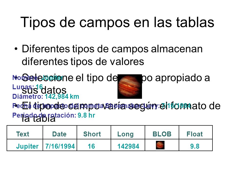 Tipos de campos en las tablas