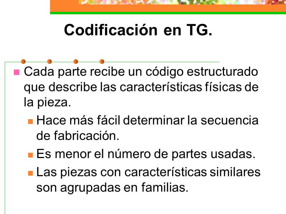 Codificación en TG. Cada parte recibe un código estructurado que describe las características físicas de la pieza.