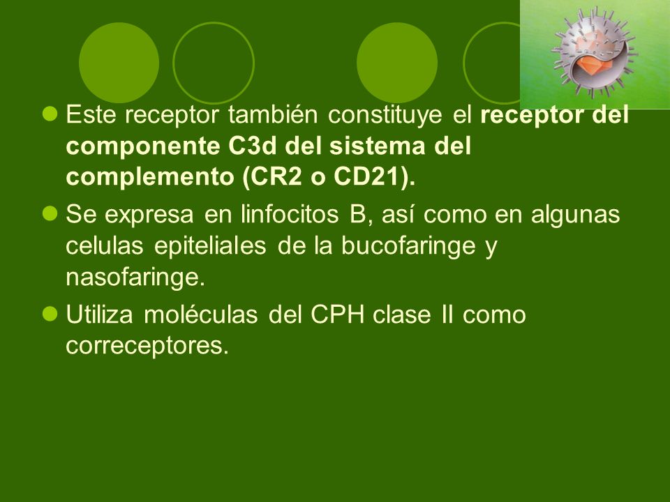 Este receptor también constituye el receptor del componente C3d del sistema del complemento (CR2 o CD21).