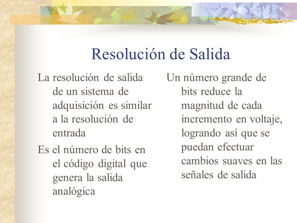 Resolución de Salida La resolución de salida de un sistema de adquisición es similar a la resolución de entrada.