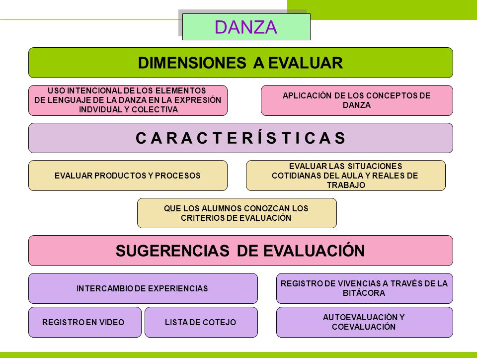 DANZA DIMENSIONES A EVALUAR C A R A C T E R Í S T I C A S