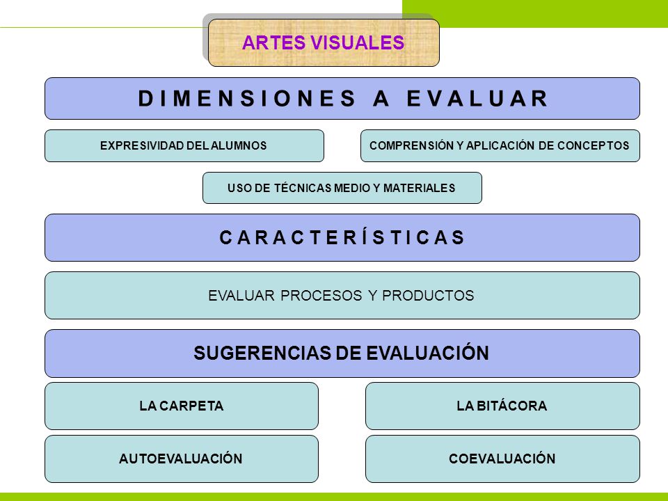 D I M E N S I O N E S A E V A L U A R ARTES VISUALES