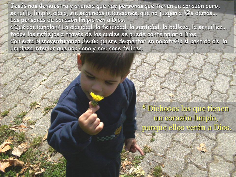 Jesús nos demuestra y anuncia que hay personas que tienen un corazón puro, sencillo, limpio, claro, sin segundas intenciones, que no juzgan a demás...