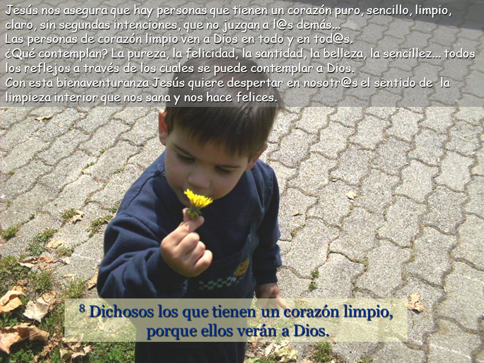 Jesús nos asegura que hay personas que tienen un corazón puro, sencillo, limpio, claro, sin segundas intenciones, que no juzgan a demás...