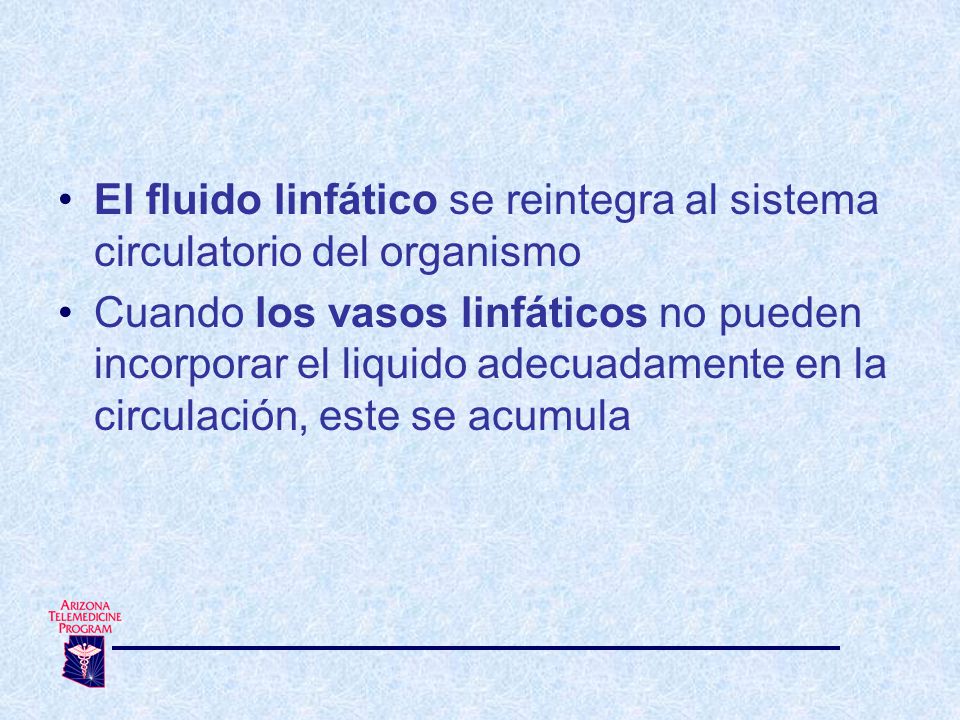 El fluido linfático se reintegra al sistema circulatorio del organismo