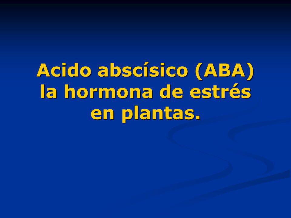 Acido abscísico (ABA) la hormona de estrés en plantas.