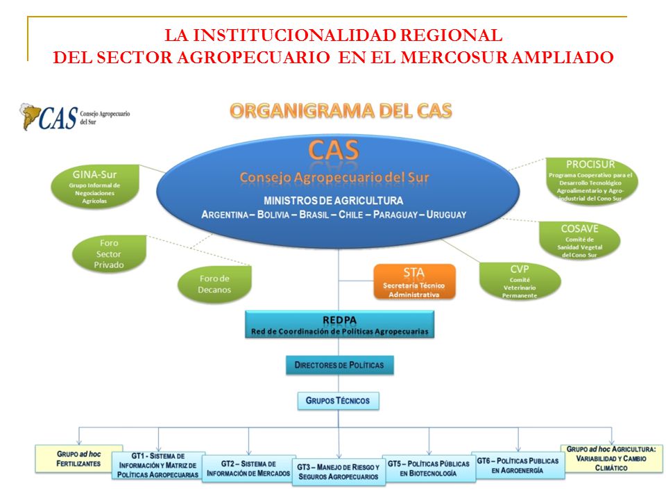 LA INSTITUCIONALIDAD REGIONAL DEL SECTOR AGROPECUARIO EN EL MERCOSUR AMPLIADO