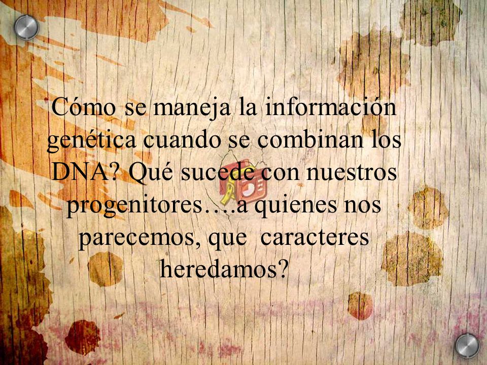 Cómo se maneja la información genética cuando se combinan los DNA