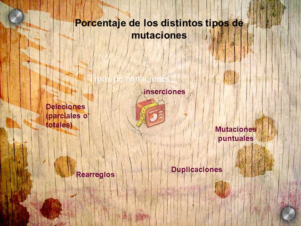 Porcentaje de los distintos tipos de mutaciones