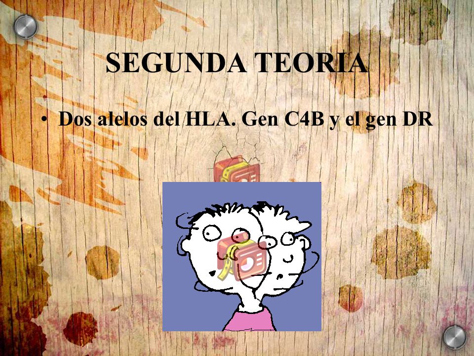 SEGUNDA TEORIA Dos alelos del HLA. Gen C4B y el gen DR