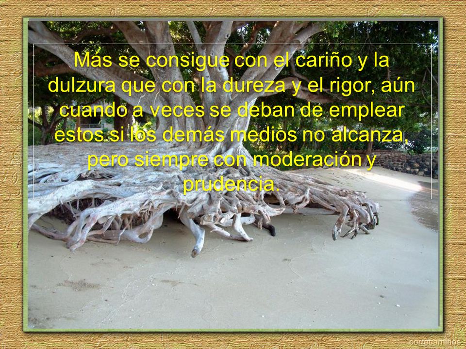 Más se consigue con el cariño y la dulzura que con la dureza y el rigor, aún cuando a veces se deban de emplear estos si los demás medios no alcanza, pero siempre con moderación y prudencia.