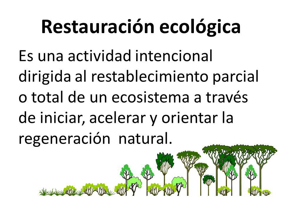 Restauración ecológica