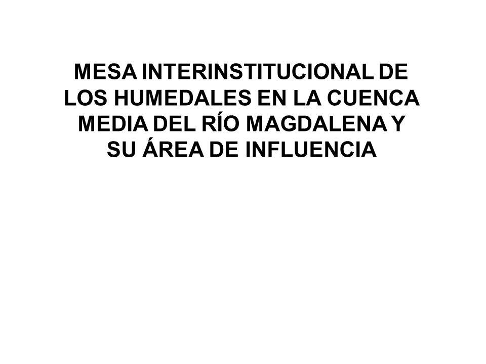 MESA INTERINSTITUCIONAL DE LOS HUMEDALES EN LA CUENCA MEDIA DEL RÍO MAGDALENA Y SU ÁREA DE INFLUENCIA