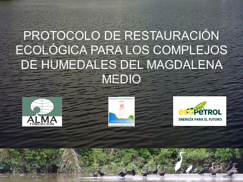 PROTOCOLO DE RESTAURACIÓN ECOLÓGICA PARA LOS COMPLEJOS DE HUMEDALES DEL MAGDALENA MEDIO