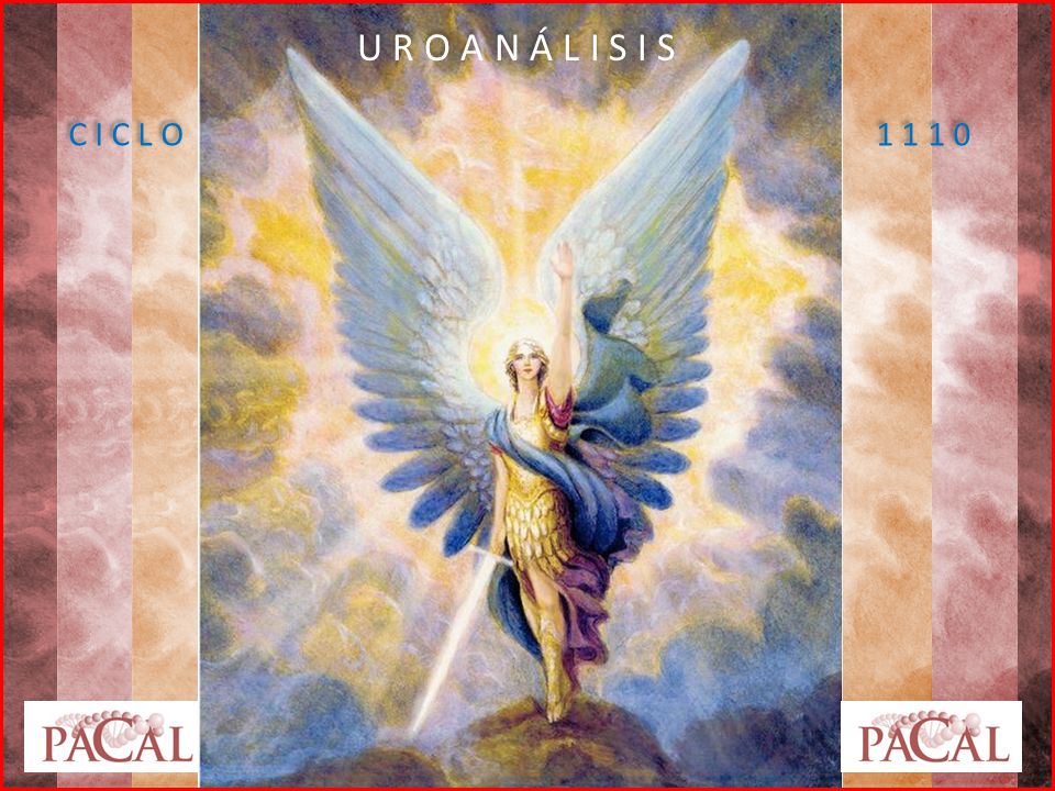 U R O A N Á L I S I S C I C L O