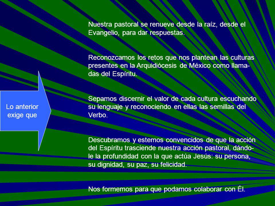 Nuestra pastoral se renueve desde la raíz, desde el