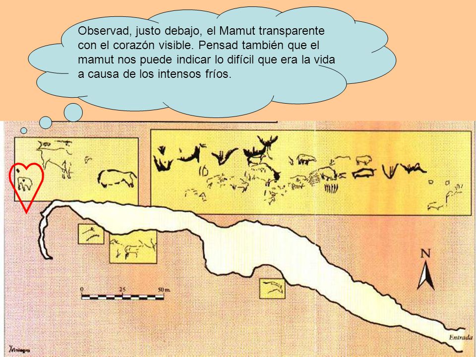 Observad, justo debajo, el Mamut transparente con el corazón visible