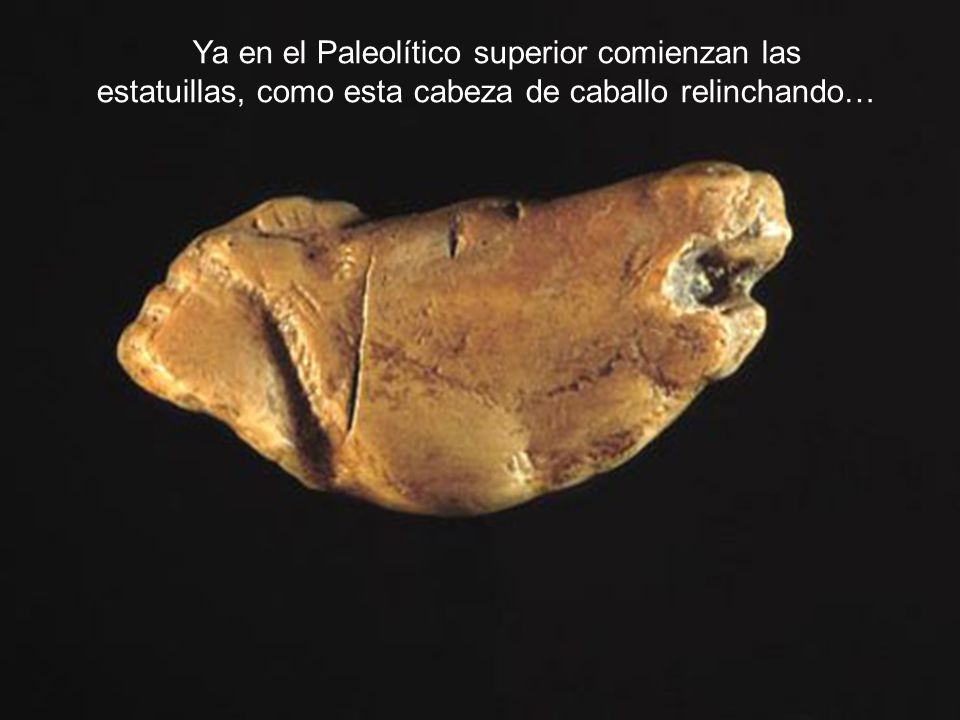 Ya en el Paleolítico superior comienzan las estatuillas, como esta cabeza de caballo relinchando…