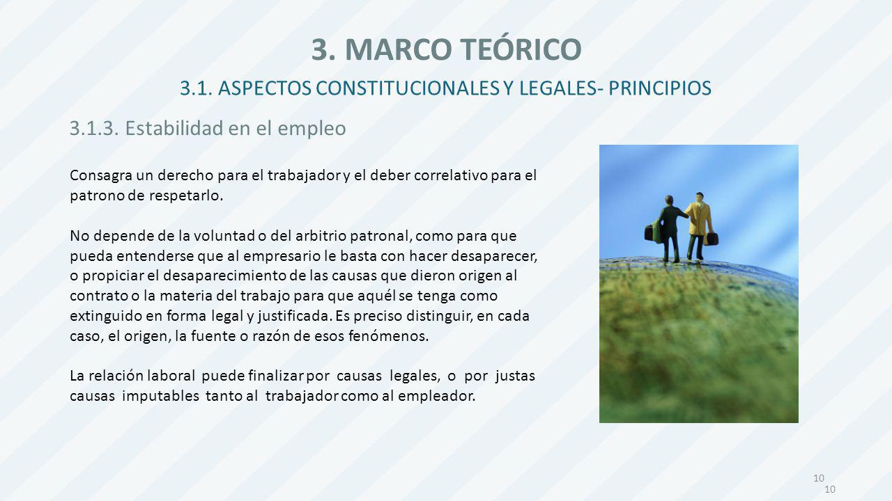 3.1. ASPECTOS CONSTITUCIONALES Y LEGALES- PRINCIPIOS