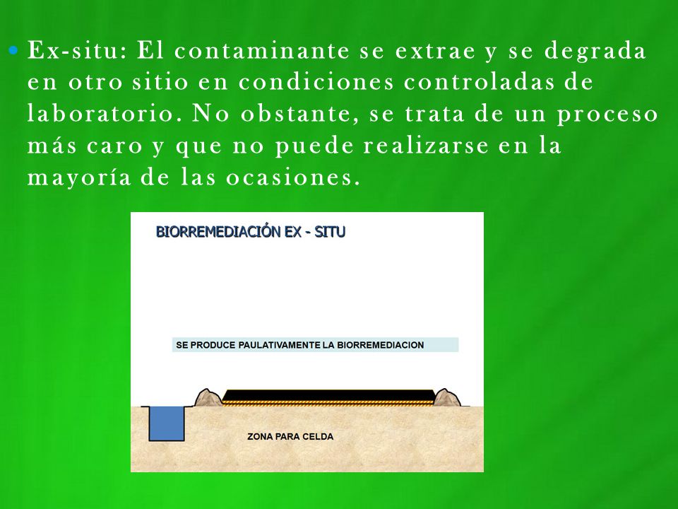 Ex-situ: El contaminante se extrae y se degrada en otro sitio en condiciones controladas de laboratorio.