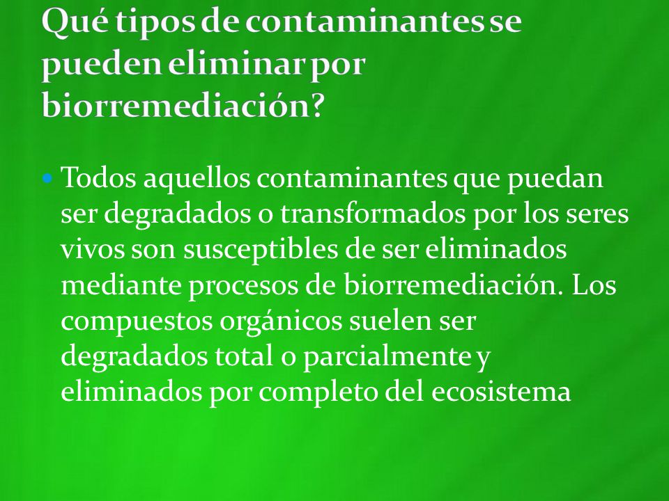 Qué tipos de contaminantes se pueden eliminar por biorremediación