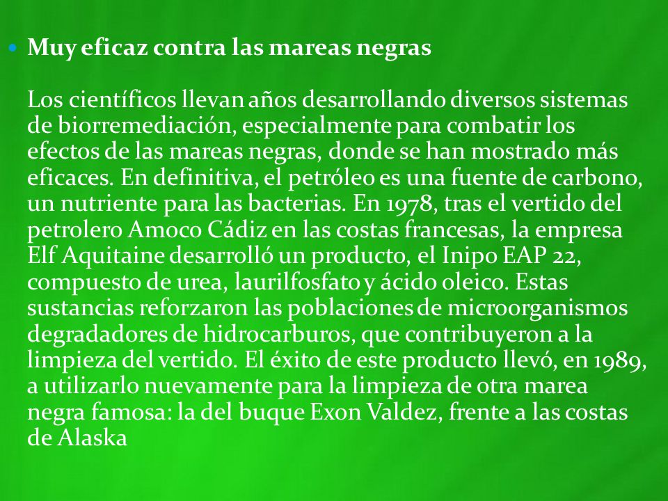 Muy eficaz contra las mareas negras Los científicos llevan años desarrollando diversos sistemas de biorremediación, especialmente para combatir los efectos de las mareas negras, donde se han mostrado más eficaces.